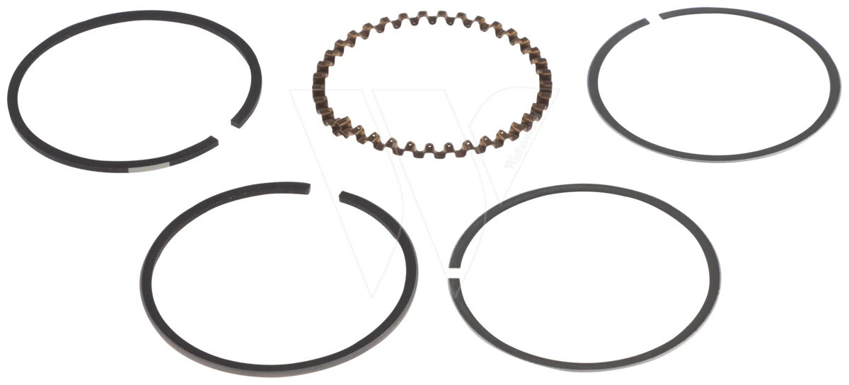 Piston Ring 3 Piston Ring