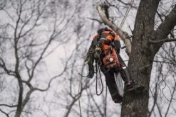 Husqvarna 572xpg Kettingzaag -50cm 5.9pk -Husqvarna 572XP 25 Husqvarna20Kettingzaag20572XP