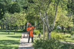 Husqvarna Stokzaag 525p4s 240cm 1.4pk 10 Husqvarna Stokzaag 525p4s 240cm 1.4pk -Husqvarna 967329401 3 Husqvarna20stokzaag20240cm