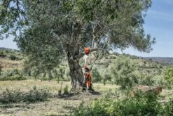 Husqvarna Stokzaag 525p4s 240cm 1.4pk 12 Husqvarna Stokzaag 525p4s 240cm 1.4pk -Husqvarna 967329401 5 Husqvarna20stokzaag20240cm