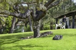 Husqvarna 440 Automower <4000m² -Husqvarna 967673312 5 Husqvarna20Automower2044020gazon204000m.jpg