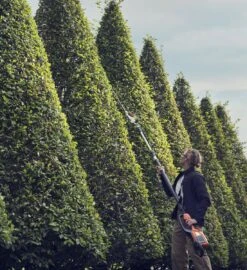 Husqvarna 520iht4 Telescoop Heggenschaar 8 Husqvarna 520iht4 Telescoop Heggenschaar -Husqvarna 967971203 3 HUSQVARNA20520iHT420TELESCOOP20HEGGENSCHAAR