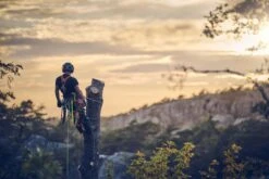 Husqvarna T540xp Mark Iii Klimzaag 30cm -Husqvarna 970517912 7 HUSQVARNA20T540XP20MARK20III20BOOMZAAG2030CM